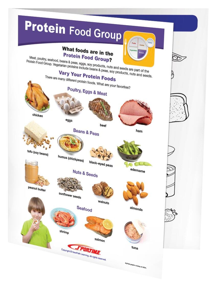 Image for Sportime Protein Food Group Visual Learning Guide, 4 Pages, Grades 1 to 4 from School Specialty